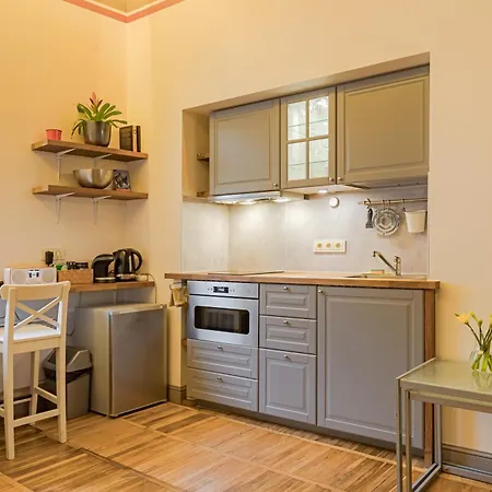 Cozy And Standard In The Heart Of Oldtown 公寓 维尔纽斯